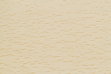 Poster - Design of Plywood for pattern and background