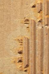 Poster - Paper texture with tear for pattern
