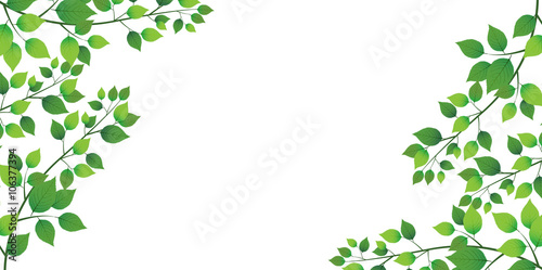 Dekoracja na wymiar  lisc-swiezego-zielonego-drzewa-w-tle