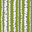 Birch forest seamless pattern, vector texture.