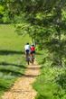 Zwei Mountainbiker in der grünen Natur