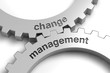 © Coloures-Pic - change management