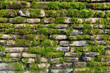 Green Moss On Old Stone Wall