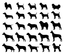 Vector Dog Breeds Silhouettes Collection Isolated On White