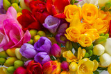 Fresh freesia flowers