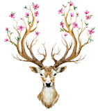 Watercolor hand drawn deer