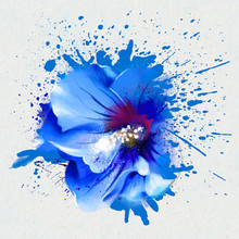 Watercolor Illustration Of A Blue Hibiscus On White Background, With Splashes Of Paint