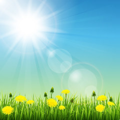 Wall Mural - summer meadow
