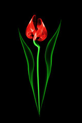 Wall Mural - Abstract tulip created from smoke, isolated on a black background.