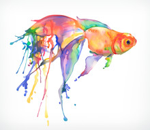 Watercolor Painting, Goldfish, Vector Illustration, Isolated On A White Background