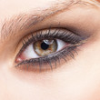 © Serg Zastavkin - Closeup shot of woman eye