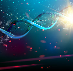 Poster - The DNA molecule