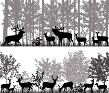 A Herd Of Deer In Silhouettes On The Background Of Trees