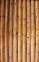  Wood Texture Background with natural pattern