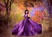 Lady In A Luxury Lush Purple Dress Swirls In The Smoke,fantastic Shot,fairytale Princess Is Walking In The Autumn Forest,fashionable Toning,creative Computer Colors