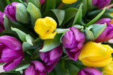 Fototapeta Tulipany - Purple and yellow tulip bouquet. More tulip on the grey backgrou