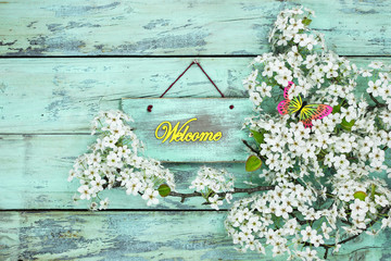 Wall Mural - Welcome sign hanging by spring blossoms and butterfly