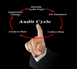 Canvas Print - Diagram of Audit Cycle