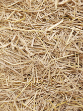 Hay Background As A Front View Of A Bale Of Hay As An Agriculture Farm And Farming Symbol Of Harvest Time With Dried Grass Straw As A Bundled Tied Haystack