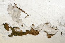 Bubbling And Peeling Paint As A Result Of Rising Damp