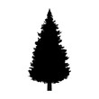 Evergreen conifer / pine tree flat icon for apps and websites