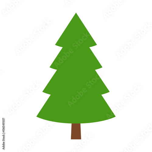 Fotografija Evergreen conifer / pine tree flat stylized color icon for apps and websites