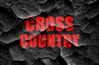 Grunge cracked cross country sign background