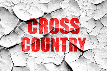 Sticker - Grunge cracked cross country sign background