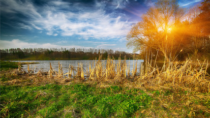 Wall Mural - Sunset over the lake in the village