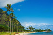 Kualoa Beach Park seaside view with palm trees, Hawaii, Oahu