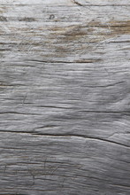 Grey Wood Texture With Natural Patterns Background. This Is Drift Wood Log Washed Up At Beach