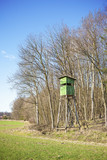 Fototapeta Tulipany - Hunting pulpit at the edge of a forest in spring.