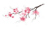 Fototapeta Konie - Sakura branch. Original watercolor painting.