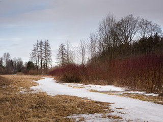 March day in Pavlovsk Park, St.Petersburg, Russia.
