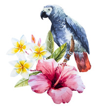 Watercolor Hibiscus Flower And Parrot