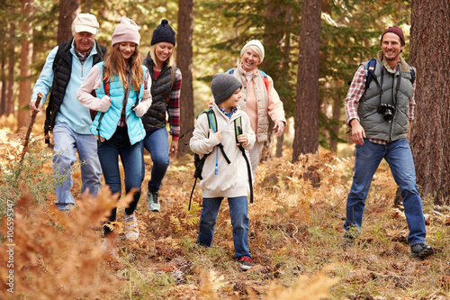 Fotografie, Obraz Multi generation family hiking in a forest, California, USA