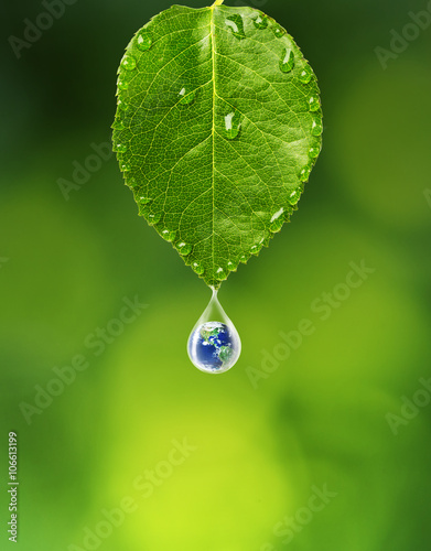 Naklejka krople  ziemia-w-kropli-wody-pod-zielonym-lisciem-elementy-tego-obrazu-dostarczone-przez-nasa