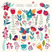 Beautiful Vector Collection With Flowers And Leaves. Spring Art Print With Botanical Elements 