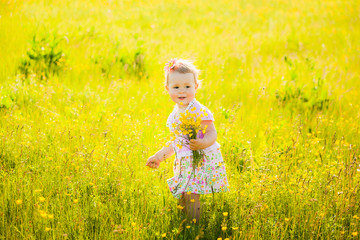 Small child playing alone in spring or summer sunny meadow full of yellow flowers. Allergy free baby enjoying nature.