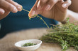 © JGI/Jamie Grill/Blend Images - Mixed race woman trimming herbs