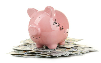 Wall Mural - Piggy bank with dollars isolated on white