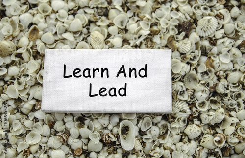 Fotografia, Obraz conceptual motivation image, word LEARN AND LEAD on white canvas
