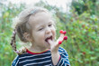 © nkarol - Two years old blonde girl enjoying of eating red garden raspberry fruits