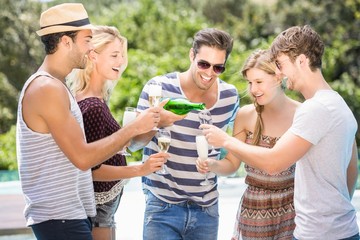 Wall Mural - Group of friends having champagne