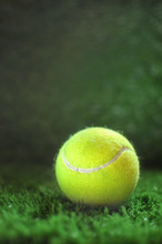 Healthiness Concept And Sport Background Idea, Tennis Ball On The Green Grass