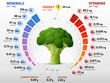 © kulyk - Vitamins and minerals of broccoli flower head. Infographics about nutrients in broccoli cabbage. Qualitative vector illustration about broccoli, vitamins, vegetables, health food, nutrients, diet, etc