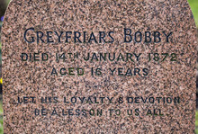 Greyfriars Bobby Grave In Edinburgh, Scotland.