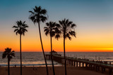 Fototapeta  - California beach at Sunset. Palm trees on Manhattan beach at sunset and pier, Los Angeles, California.