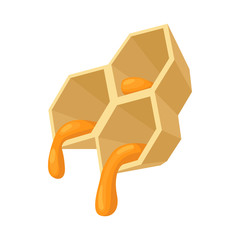 Poster - Honeycomb icon, cartoon style 