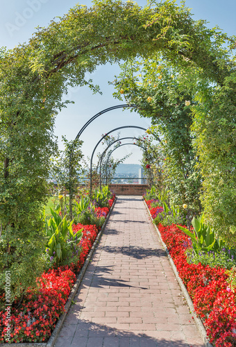 Fototapeta na wymiar Schlossberg park flowerbed in Graz, Austria